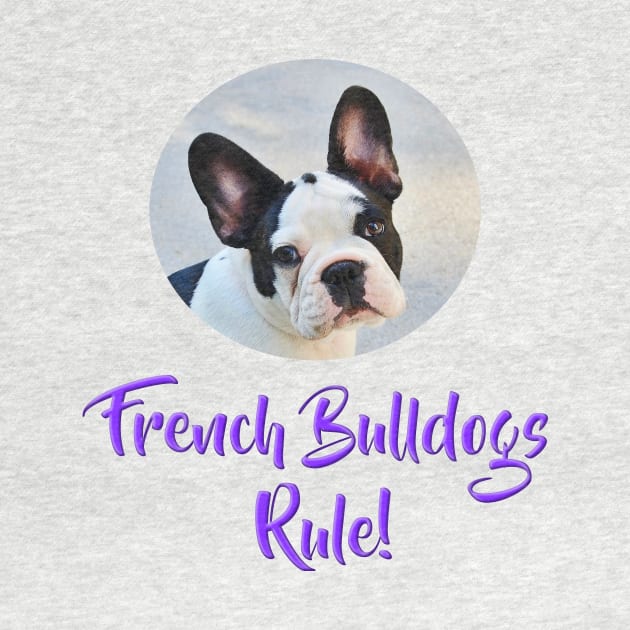 French Bulldogs Rule! by Naves